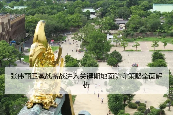 张伟丽卫冕战备战进入关键期地面防守策略全面解析